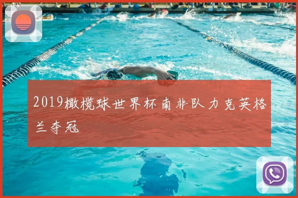 2019橄榄球世界杯南非队力克英格兰夺冠