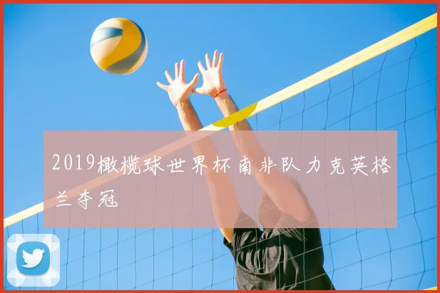 2019橄榄球世界杯南非队力克英格兰夺冠